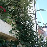 Séjour chez l'habitant Casa Os Maias - Jardim, Terraço E Espaço 11 Pessoas