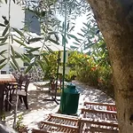 Séjour chez l'habitant Casa Os Maias - Jardim, Terraço E Espaço 11 Pessoas Mirandela