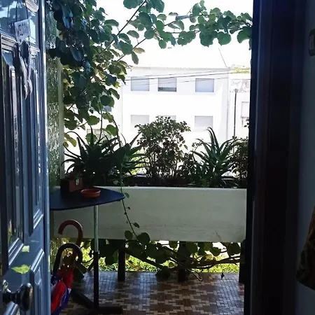 Séjour chez l'habitant Local Os Maias *