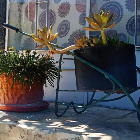 Casa Os Maias - Jardim, Terraco E Espaco 10 Pessoas 民宿 *