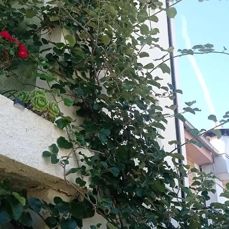 Séjour chez l'habitant Local Os Maias