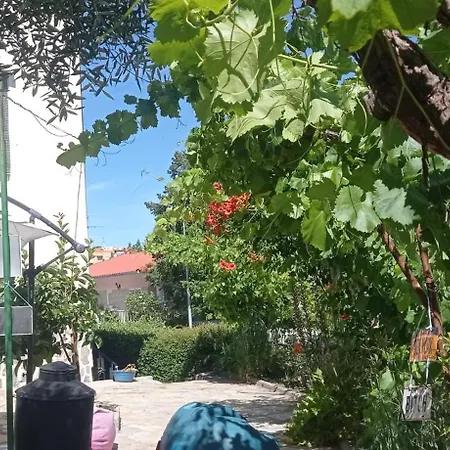 Local Os Maias Homestay *