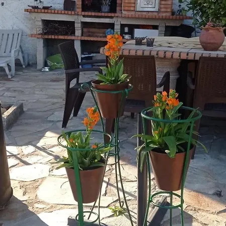 Homestay Local Os Maias
