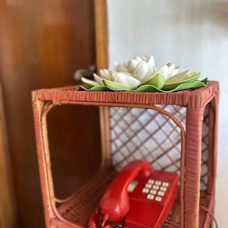 Local Os Maias Homestay