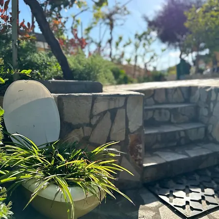 民宿 Casa Os Maias - Jardim, Terraco E Espaco 10 Pessoas 米兰德拉