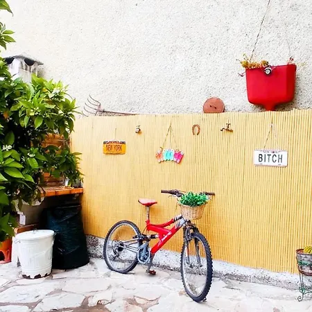 Local Os Maias Homestay