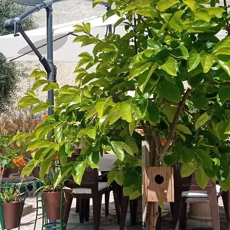 Local Os Maias Séjour chez l'habitant