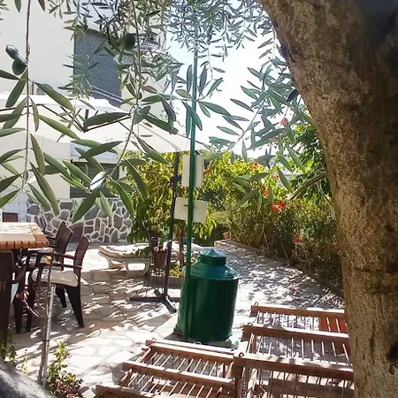 Quarto em Acomodações Particulares Local Os Maias Mirandela