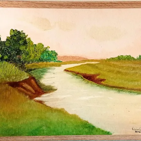 Casa Os Maias - Jardim, Terraco E Espaco 11 Pessoas ホームステイ