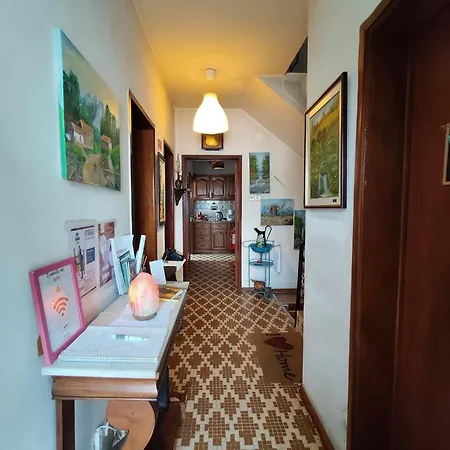 Casa Os Maias - Jardim, Terraco E Espaco 10 Pessoas *