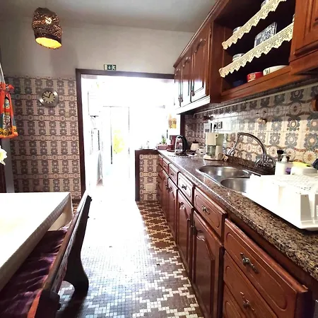 Pansiyon Casa Os Maias - Jardim, Terraco E Espaco 10 Pessoas *