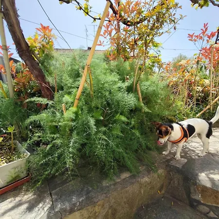 Casa Os Maias - Jardim, Terraco E Espaco 10 Pessoas 民宿 米兰德拉