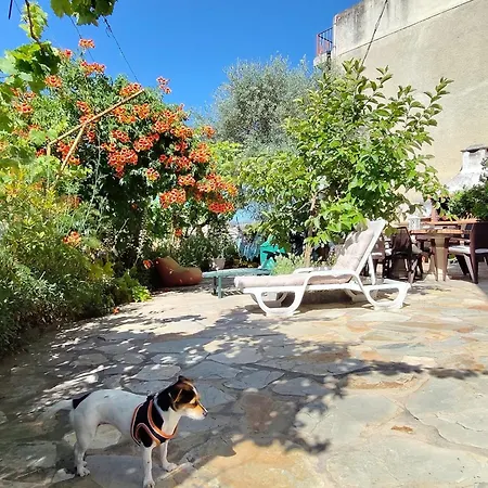 民宿 Casa Os Maias - Jardim, Terraco E Espaco 10 Pessoas *