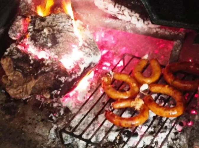 Casa Os Maias - Jardim, Terraço E Espaço 11 Pessoas * Mirandela