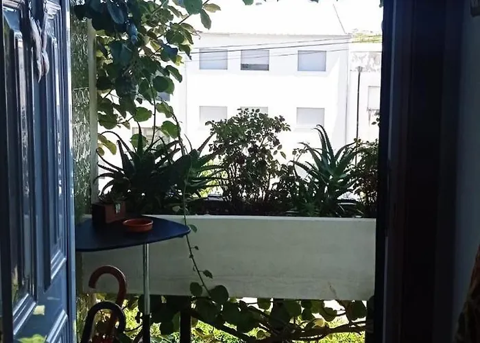 ホームステイ Casa Os Maias - Jardim, Terraco E Espaco 11 Pessoas *