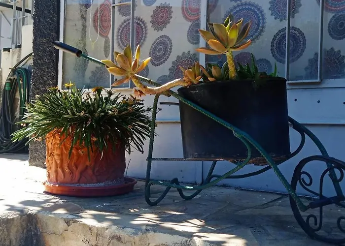 Casa Os Maias - Jardim, Terraco E Espaco 11 Pessoas ホームステイ *