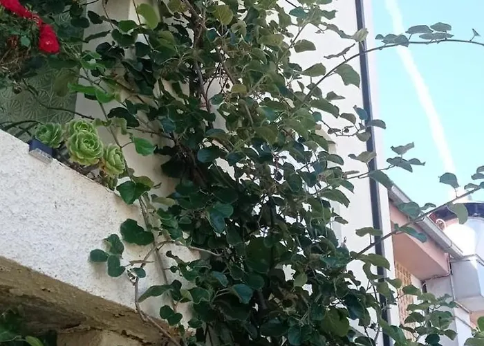 Quarto em Acomodações Particulares Casa Os Maias - Jardim, Terraço E Espaço 11 Pessoas