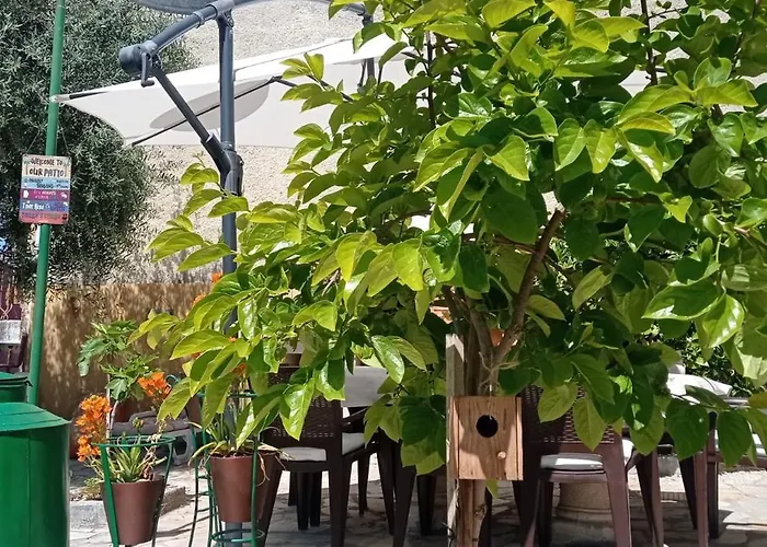 Casa Os Maias - Jardim, Terraço E Espaço 11 Pessoas Quarto em Acomodações Particulares