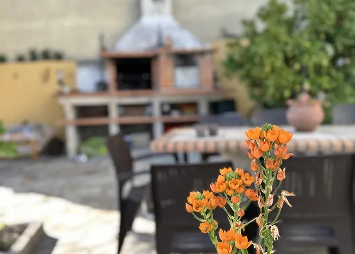 Casa Os Maias - Jardim, Terraço E Espaço 11 Pessoas Mirandela