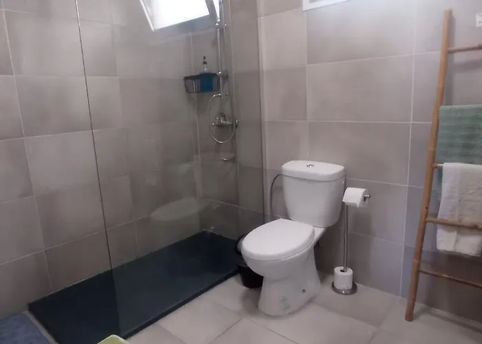 Casa Os Maias - Jardim, Terraco E Espaco 11 Pessoas *